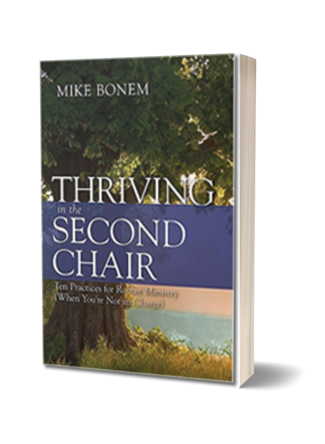 Thriving From the Second Chair Thriving From the Second Chair